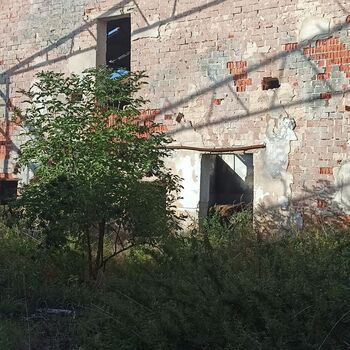 Agricultural area 2023