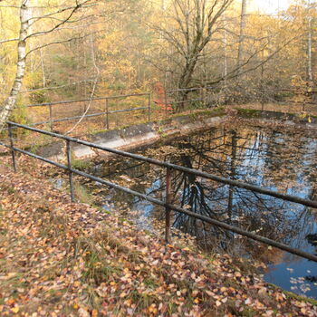 VEGA Group VEGA Group