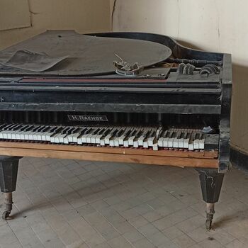grand piano piano keyboard instrument stringed instrument percussion instrument musical instrument grand piano piano keyboard instrument stringed instrument percussion instrument musical instrument