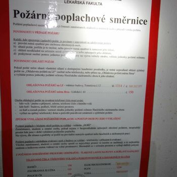 nabídka jízdné jídlo