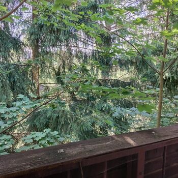 Another hotel Another hotel