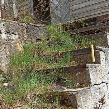 Ocelárny Julia 2023