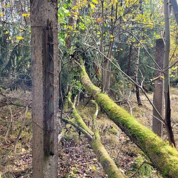 Warehouse of fuel oil