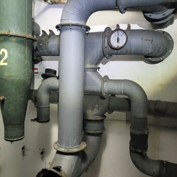 Ein Welpe mit Rüssel