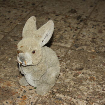 Wo ist der Graf geblieben? Das verlassene Schloss