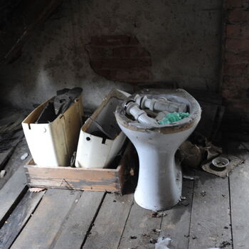 A grove in the Sudetenland.