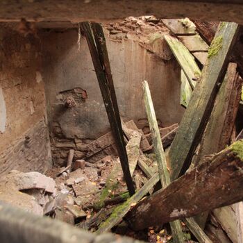 Pepper 2023 Pepper 2023