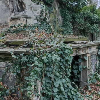 Friedhof 2022 Friedhof 2022