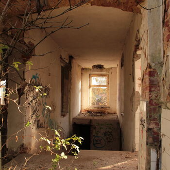 Ruinen einer kleinen Molkerei 2023 Ruinen einer kleinen Molkerei 2023