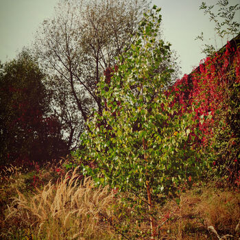 Zámeček Chotýšany