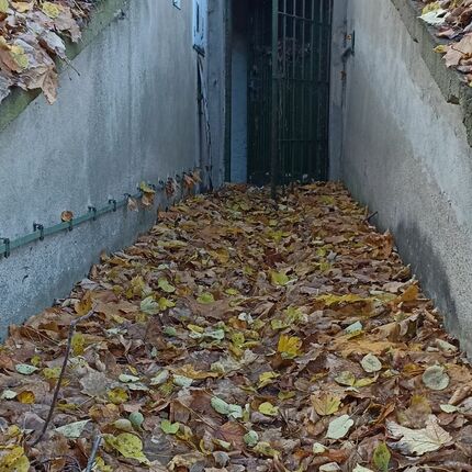 Kryt CO 2022 Kryt CO 2022