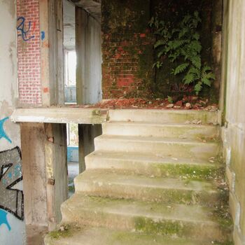 Kyjeváky in der Siedlung Ploužnice 2023