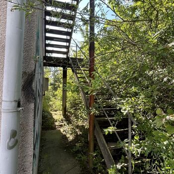 ᔕEᒪᔕKá ᕼOᔕᑭOᗪᗩ + ᗰᑌᒪTIKᖇᗩᐯíᑎ