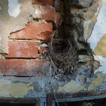 Urbex - 2022 Šumava - Vražedná p......