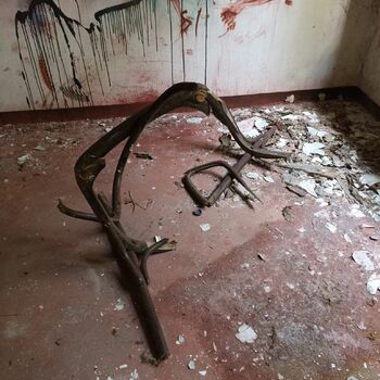 vycházková hůl členovců