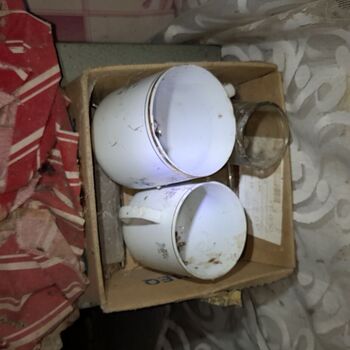 Pheasantries Pheasantries