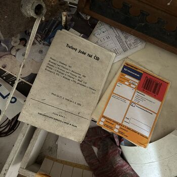 ᴀʙᴀɴᴅᴏɴᴇᴅ ꜱᴜᴍᴍᴇʀ ᴄɪɴᴇᴍᴀ