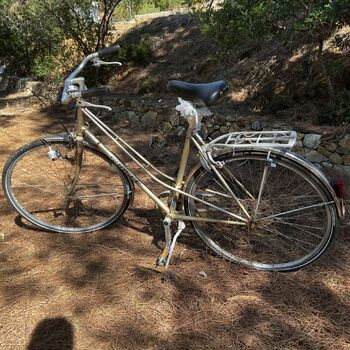 Former camp Corsica 2023