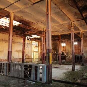 Sudeten German Wool Spinning Plant 2023 Sudeten German Wool Spinning Plant 2023