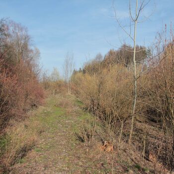 Stanice Lovečkovice, doleva stoupání do Verneřic, vpravo trať do Úštěku Stanice Lovečkovice, doleva stoupání do Verneřic, vpravo trať do Úštěku
