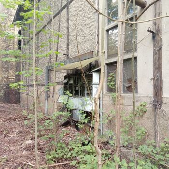 Railway depot in the middle of the "forest" 2024