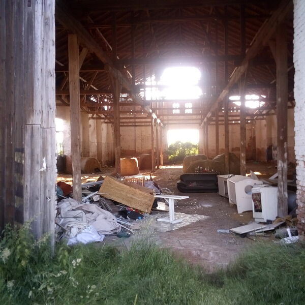 Prasečák 🐷 2019