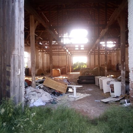 Ferkel 🐷 2019 Ferkel 🐷 2019