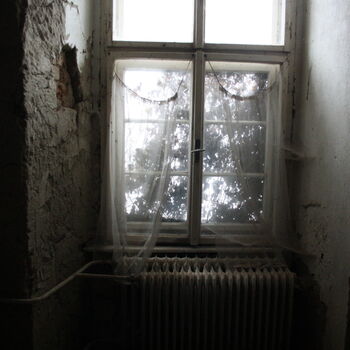 Wo ist der Graf geblieben? Das verlassene Schloss