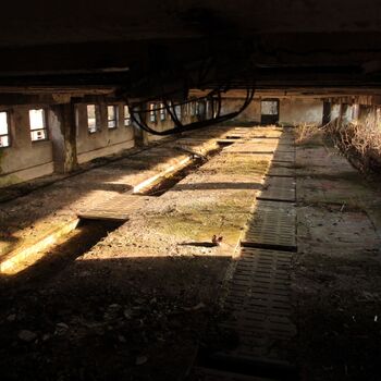 Riesiges Sparschwein