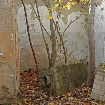 Kravin 2022 Kravin 2022