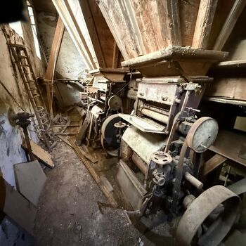 DDT, or the crocodile wasn't home