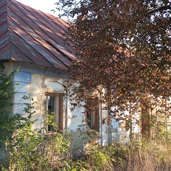 House by the road 2024