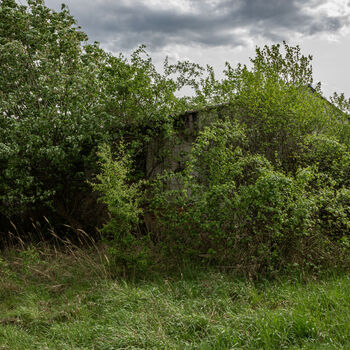 Pigsty and stables Pigsty and stables