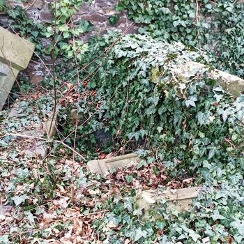 Friedhof 2022 Friedhof 2022
