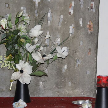 Wo ist der Graf geblieben? Das verlassene Schloss