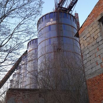 Calf (2025) Calf (2025)