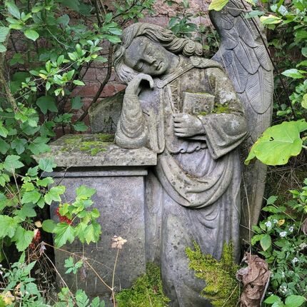 Im Sudetenland oberhalb eines kleinen Dorfes.