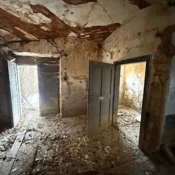 Aunt Omega, or I Believe in Fairies