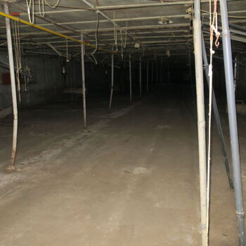 Barevná Drůbežárna