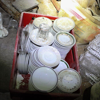 Schimmel für das Mittagessen