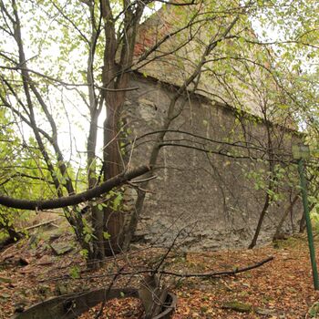 Pepper 2023 Pepper 2023