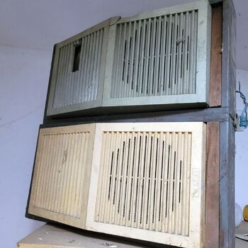 🎞 Summer cinema season is here.