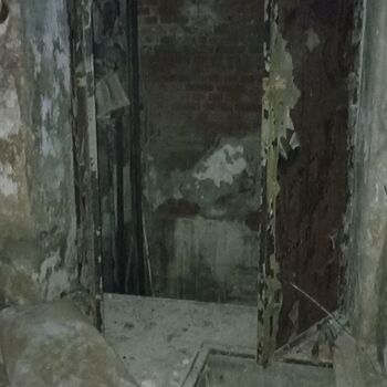 Ocelárny Julia 2023