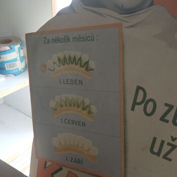 Dvě drbny v ,zubní klinice Dvě drbny v ,zubní klinice
