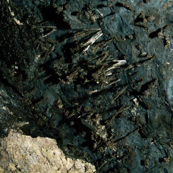 Richard Underground Factory