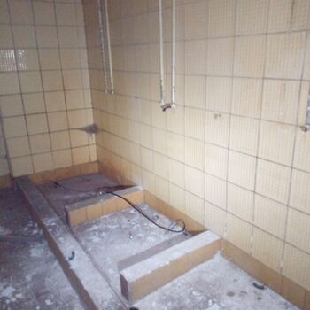 Railway depot in the middle of the "forest" 2024