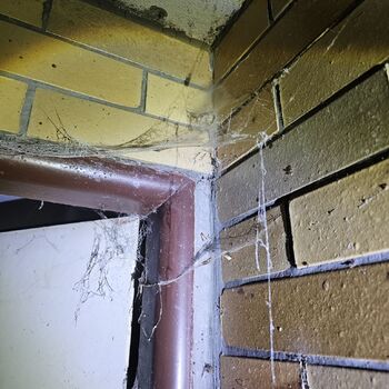 VERLASSENES WOHNHAUS