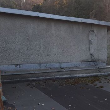 Pheasantries Pheasantries