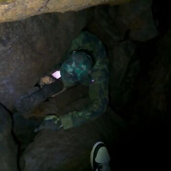 Schmale Galerie-Kletterpflanzen