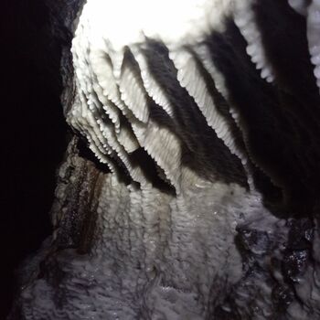 Down in the mine part two 2024